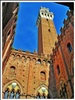 Siena - la torre del Mangia